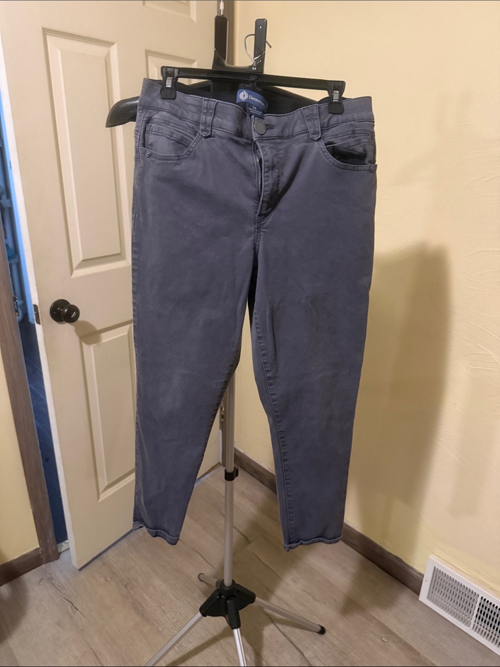 Democracy Women’s pants in Slate Gray